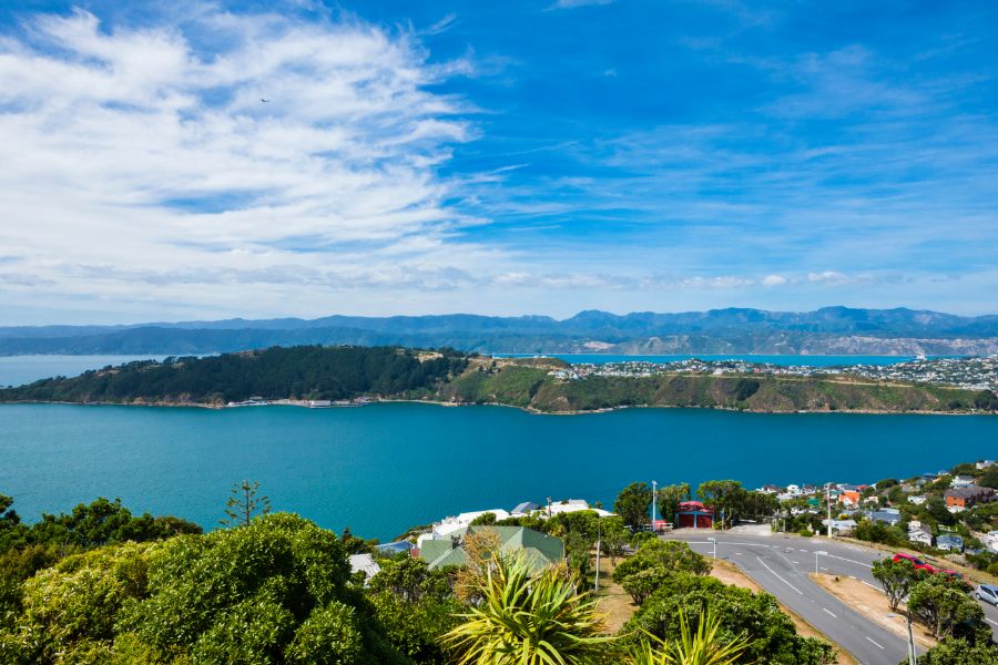 Miramar Suburb Wellington