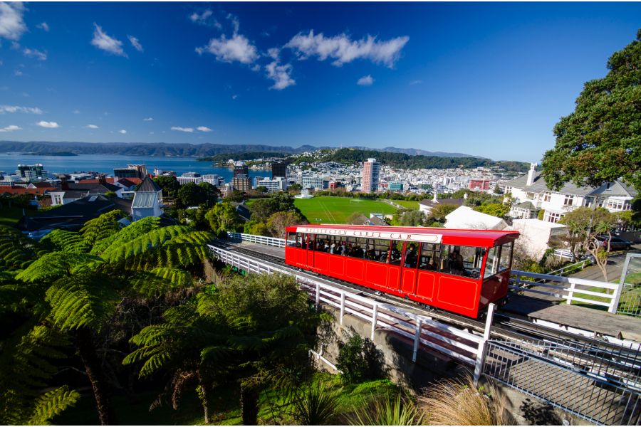 Public Transport in Wellington - Finding your perfect rental fit