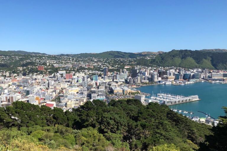 Discover Your Ideal Home in Wellington’s Diverse Neighbourhoods