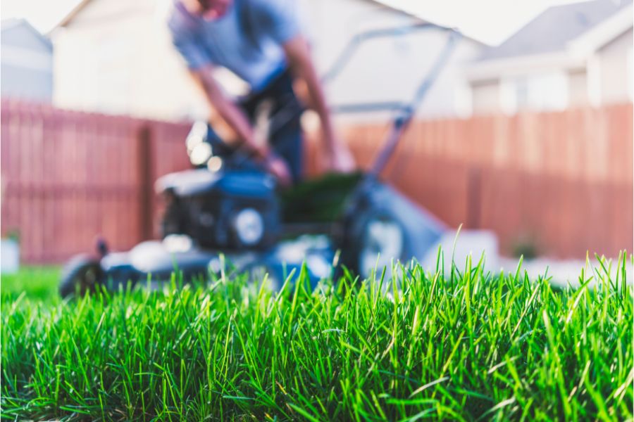 Property maintenance - cutting the grass