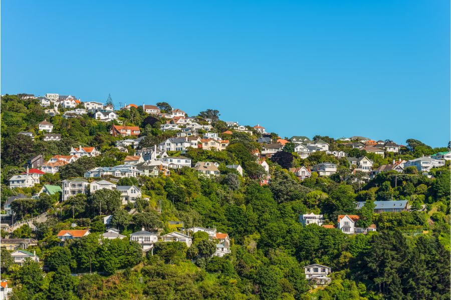 Sustainable housing in Wellington