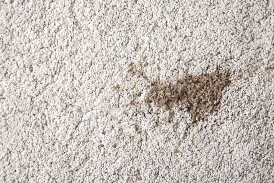 Coffee stain on carpet could affect your bond