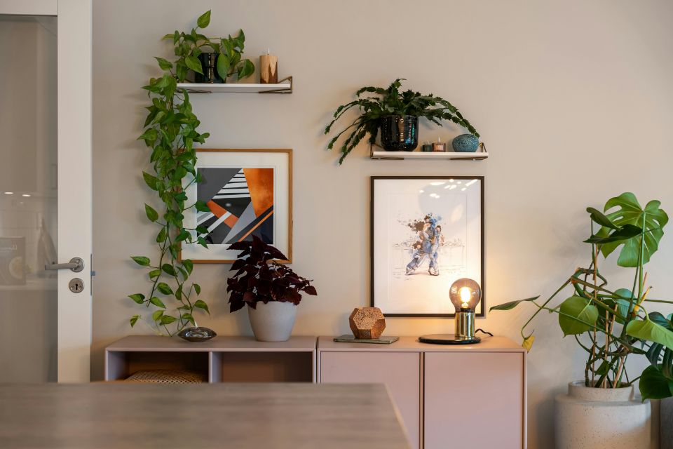 Plants and Greenery Rental Property