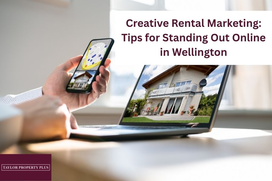 Creative Rental Marketing Tips for Standing Out Online in Wellington